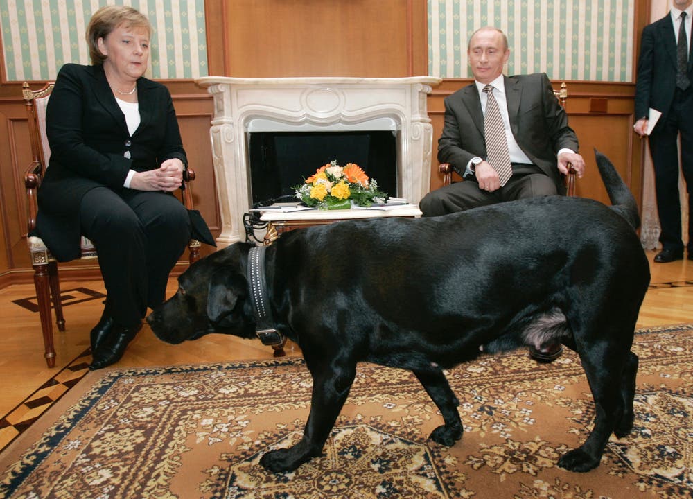 Vor Putin hat sich Merkel nie gefürchtet – als Hundephobikerin dafür umso mehr vor Koni.