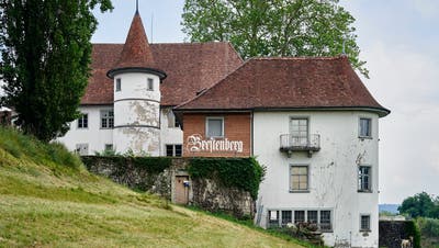 Aus dem Schloss Brestenberg soll etwas werden – nur was? (Colin Frei)