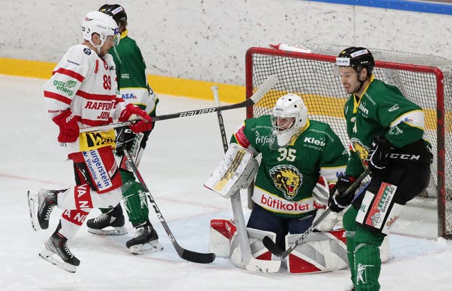 Goalie Luis Janett zeigte gegen das oberklassige Rapperswil-Jona eine gute Leistung. Sowieso überzeugte der HC Thurgau mit seinem Defensivspiel.