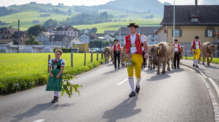 Alpabfahrt in Appenzell: Viele Bauern verlassen ihre Alpen früher als in Vorjahren, weil das Futter knapp wird. (Bild: Raphael Rohner)