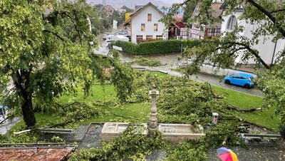 Sturm Bernd wütete Mitte Juli in Albisrieden. (zVg)