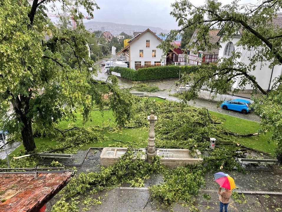 Sturm Bernd wütete Mitte Juli in Albisrieden. 
