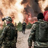 Raus aus der Feuerhölle im Norden Athens: In Griechenland fliehen Tausende vor den Flammen – Schweiz sendet Hubschrauber