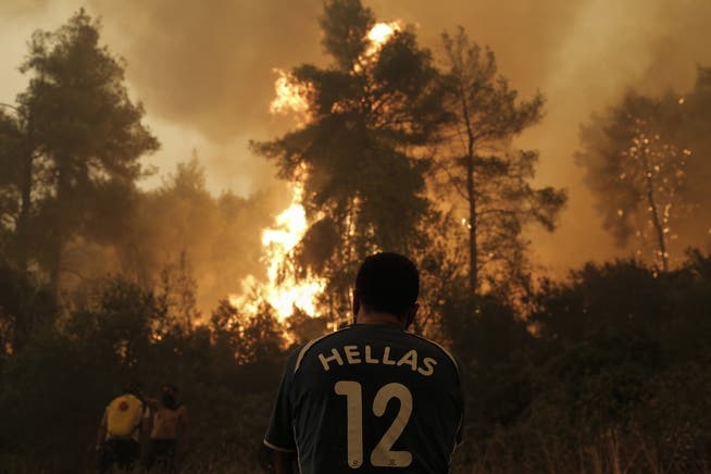 Die Waldbrände in Griechenland toben weiter.