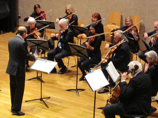 Das grenzüberschreitende Streichorchester Divertimento bei einem Auftritt im Jahr 2017.