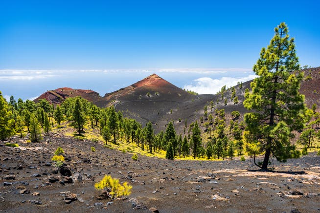 Friedlich wirkt sie, die Vulkangebirgskette Cumbre Vieja auf der kanarischen Insel La Palma. Seismologen warnen jedoch: Ein Ausbruch könnte kurz bevorstehen.