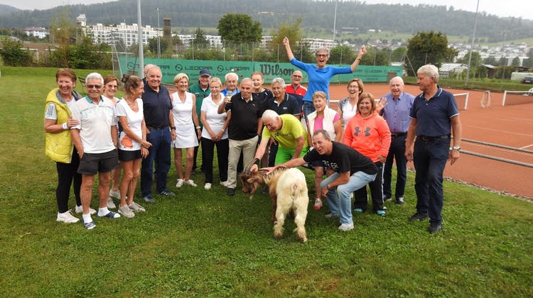 Ziegenbock statt Pokal: Tennisclub hilft Tierpark