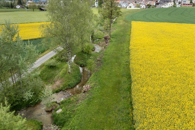 Durch Gewässerräume sollen Bäche, Flüsse und See unter anderem vor Dünger und Pestiziden geschützt werden. (Symbolbild)