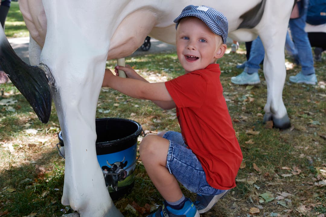 Dank Swissmilk konnten die Kleinen lernen, wie man melkt.