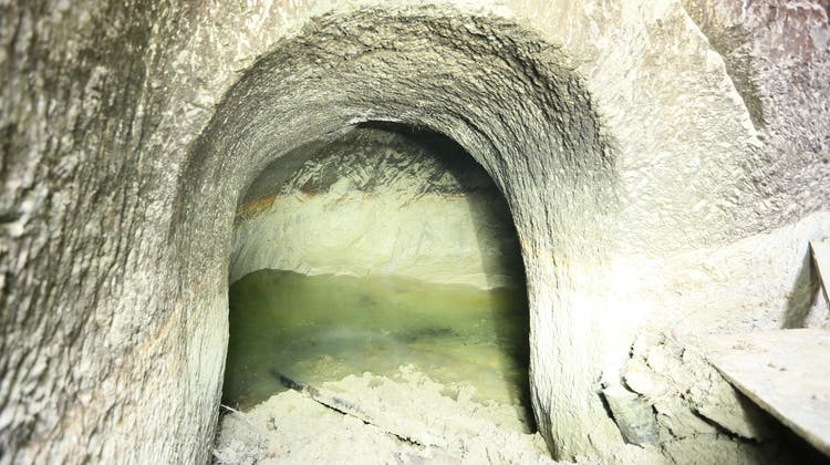 Nach dem Sturz von Kuh Belinda wurde das Gewölbe im Habsburger Untergrund entdeckt. (Pro Natura / Philipp Schuppli)