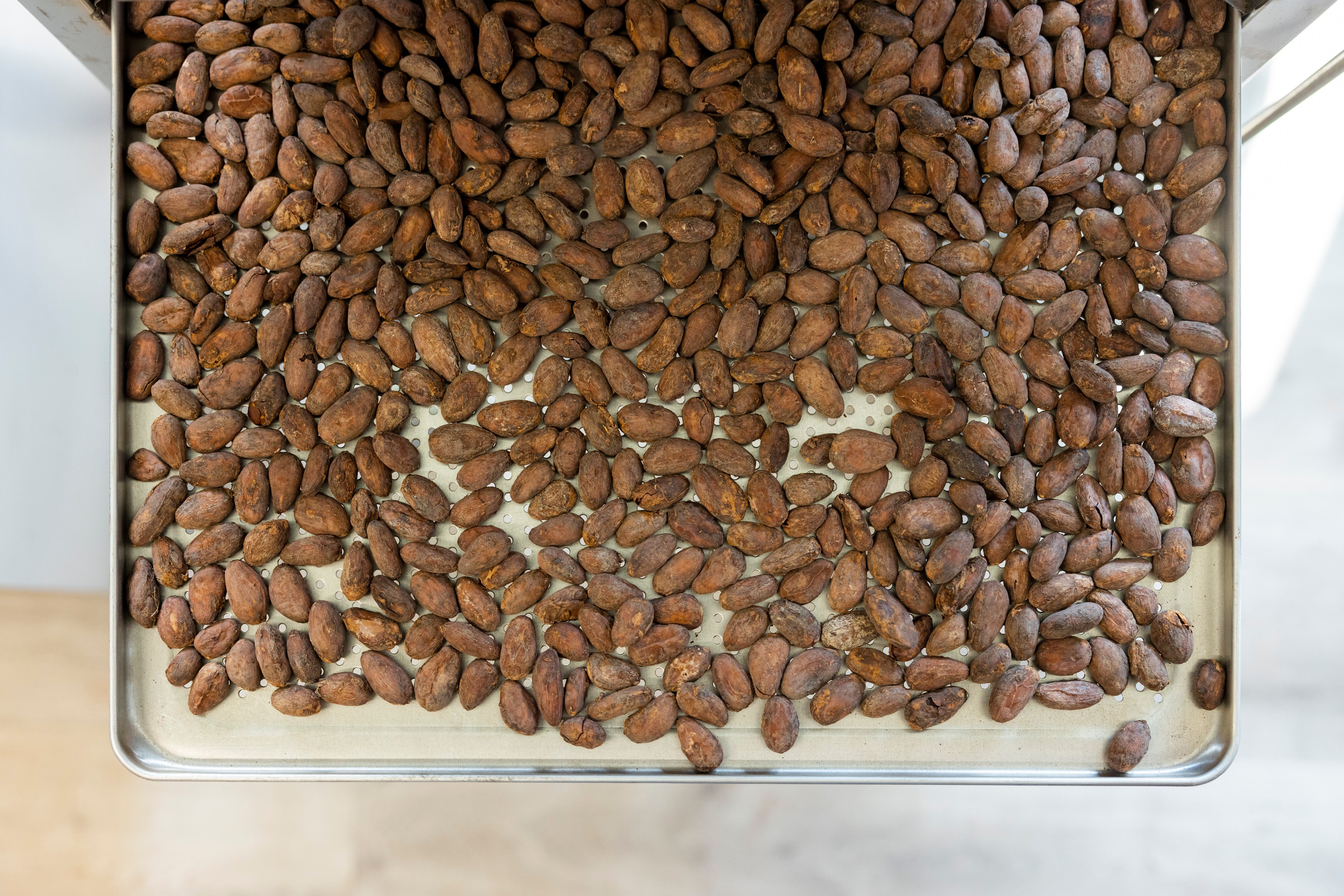 Die Kakaobohnen importiert Kürzi aus den Herkunftsländern und röstet sie dann selbst in einem Gastrobackofen in ihrer Manufaktur.