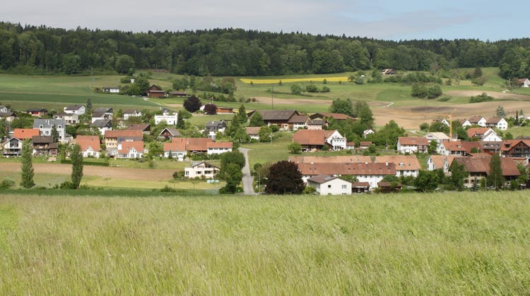 So würde sich das Pferdezentrum hinter dem Bücklihof ins Dorfbild einfügen (ganz oben rechts). Nur das Dach ist sichtbar. (Fotomontage/zvg)