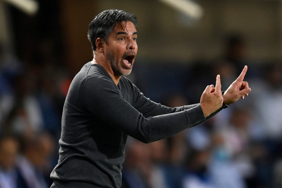 David Wagner, Trainer der Young Boys.