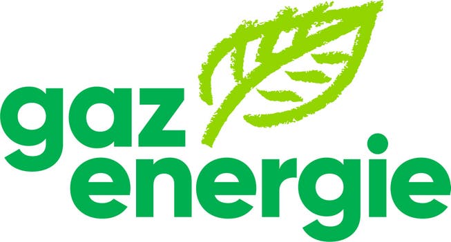 Der Gasindustrieverband - hier das offizielle Logo - handelt laut den Grünen gegen die klima- und energiepolitischen Ziele der Stadt Olten.