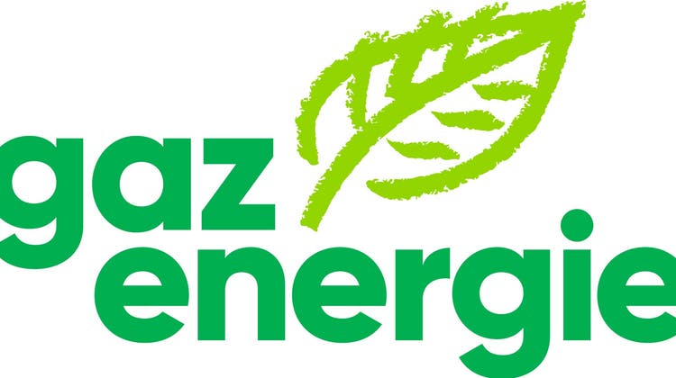 Der Gasindustrieverband - hier das offizielle Logo - handelt laut den Grünen gegen die klima- und energiepolitischen Ziele der Stadt Olten. (zvg)