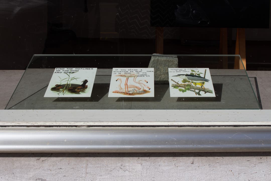 Im Fenster der Alten Metzgerei in Dietikon begrüssen drei Werke von Leila Peacock die Besuchenden.