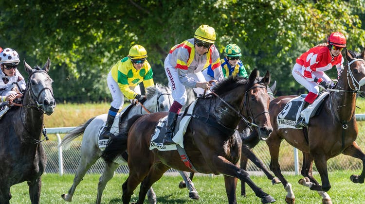 Die teilnehmenden Pferde des letztjährigen 41. Swiss Derbys. (Bild: Andrea Stalder (5.9.2021))
