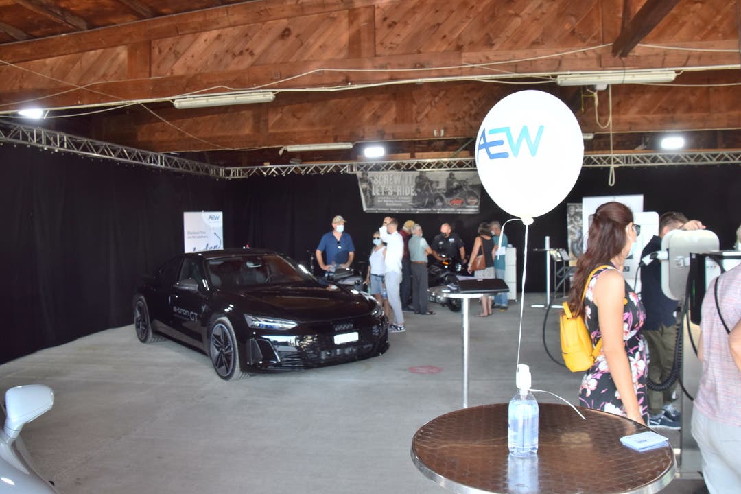 Am eMobility Day wurden verschiedene aktuelle Elektroautos präsentiert.