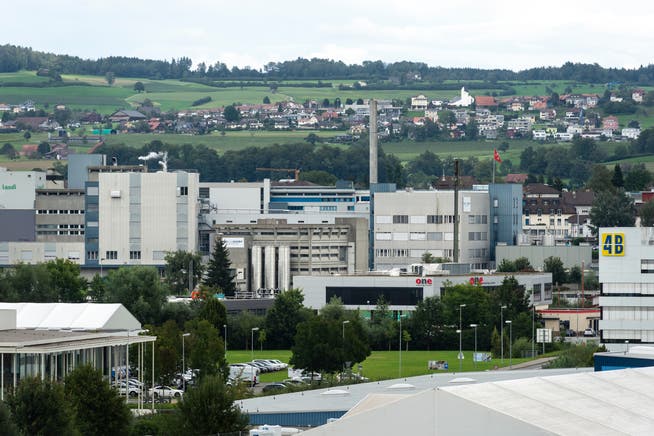 Das Areal des Milchverarbeiters Hochdorf.