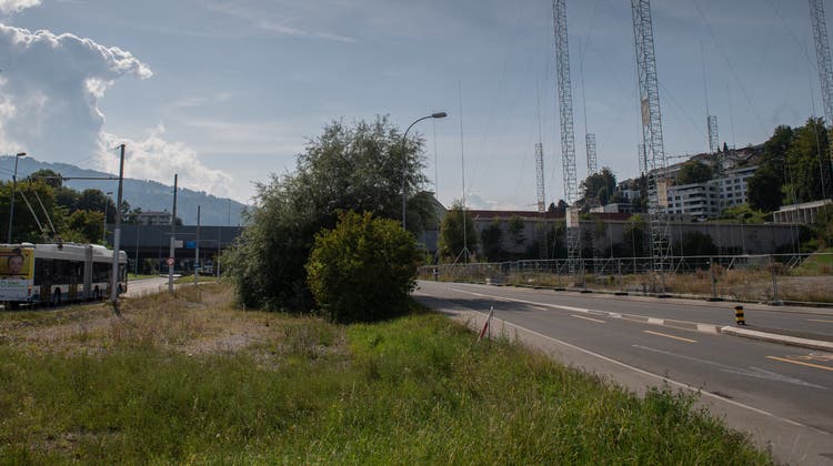 Die Langsägestrasse (rechts) soll auf Höhe der künftigen Baustelle für drei Jahre verschoben werden, dicht zur Busspur hin (links). (Bild: Boris Bürgisser (Kriens, 7. September 2021))