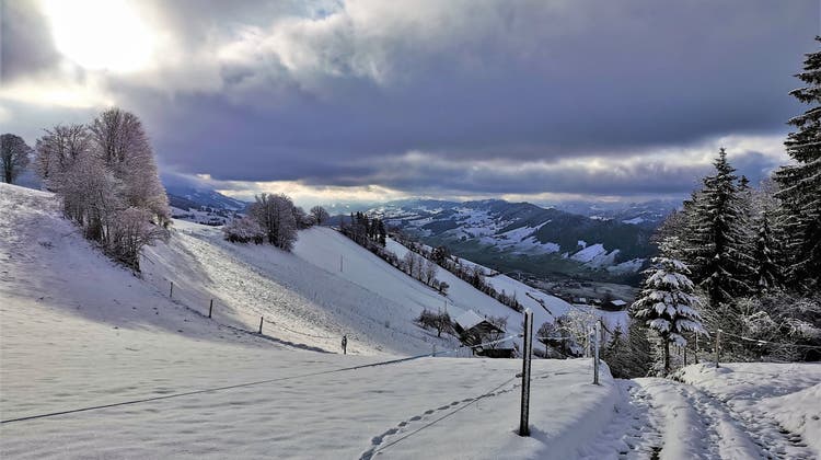 Winterwunderland im Entlebuch (Leserbild Urs Gutfleisch (6. Januar 2022))