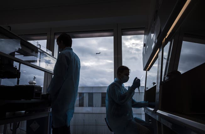 Es sind herausfordernde Tage für die Diagnostiker: Blick in das Corona-Testlabor am Flughafen Zürich.