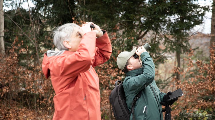 Peter Knaus (rechts) und der vogelinteressierte Markus Schärli beobachten die Vögel im Dreilindenpark. (Bilder: Manuela Jans-Koch (Luzern, 7. Januar 2022))