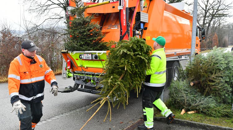 Mitarbeiter des städtischen Werkhofs Olten entsorgen im Gebiet Kleinholz abgeschmückte Weihnachtsbäume. (Bruno Kissling)