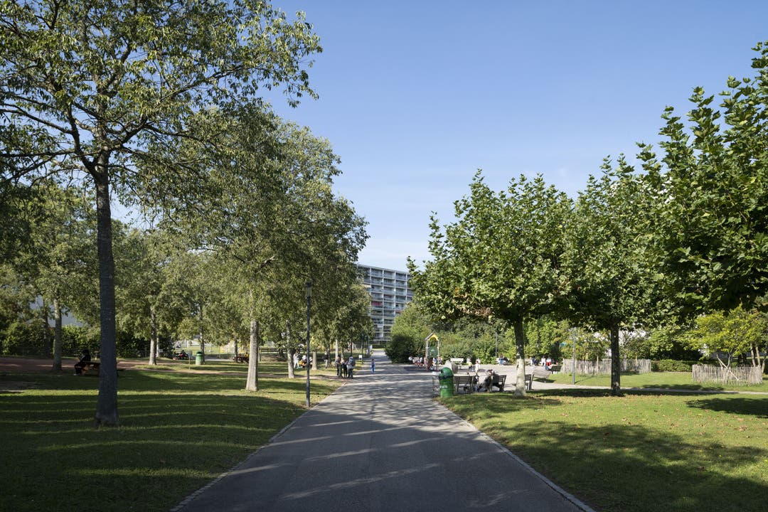 Ein Park in der Satellitenstadt «Nouvelle Cite» in Meyrin.