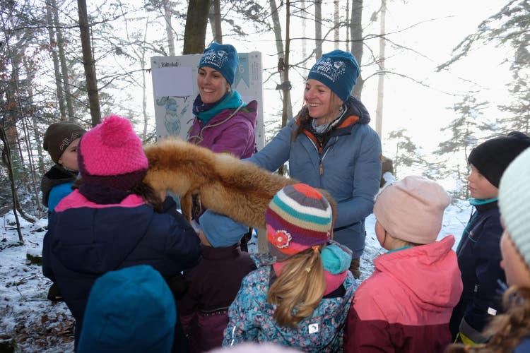 Daniela Birrer (links) und Priska Schwitter informieren auf dem Wintererlebnispfad über die Lebensweise des Rotfuchses. 