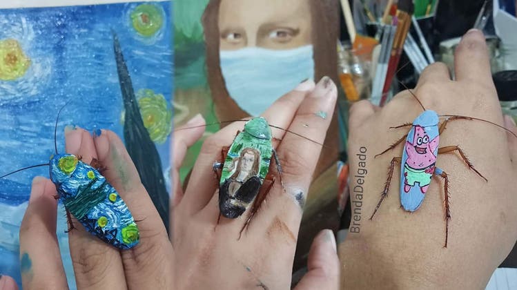 Mona Lisa oder Spongebob auf Kakerlaken: 30-Jährige bepinselt Käfer mit bekannten Motiven