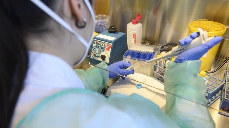 Die Auswertung der PCR-Tests im Labor benötigt Expertise und Zeit. (Symbolbild: Anthony Anex)