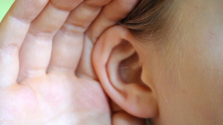 Menschliche Ohren sind weniger gelenkig als die vieler Tiere. (Bild: Keystone)