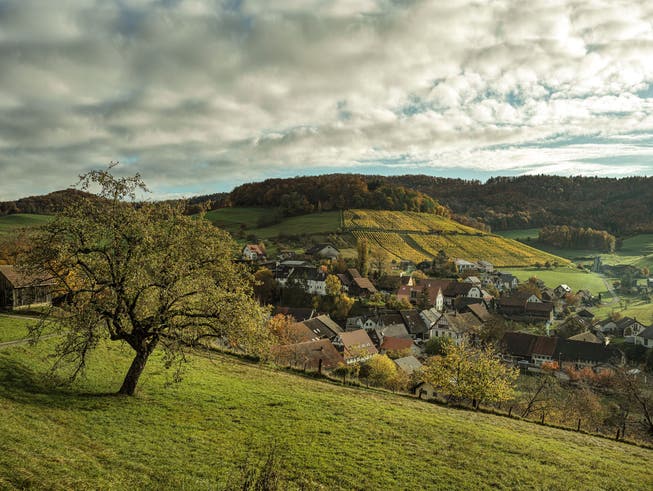 Der Jurapark Aargau feiert 2022 sein Jubiläum. Auch der Ortsteil Elfingen – hier im Bild – befindet sich im Park-Perimeter.