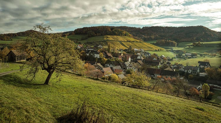 Der Jurapark Aargau hat ein Konzept präsentiert, mit dem die Nutzung des Erholungsraums gesteuert werden soll. (Zvg/Jurapark Aargau/Michel Jaussi)