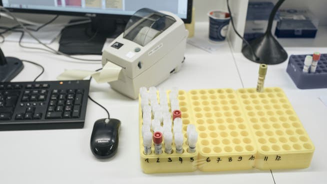 Im Labor Rothen an der Kornhausgasse werden PCR-Tests analysiert.