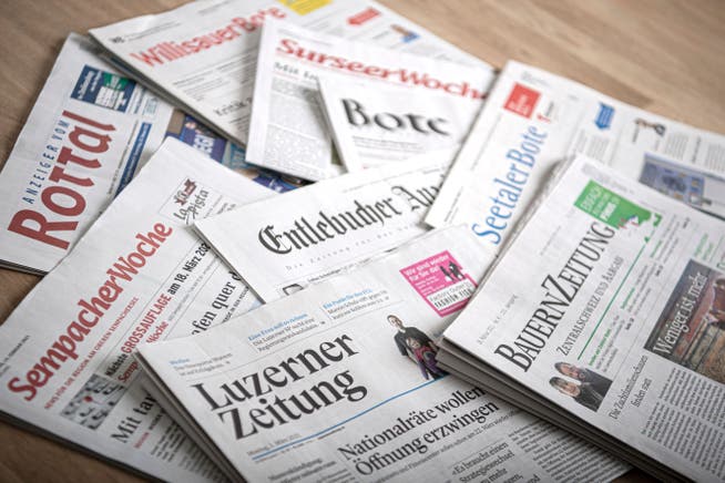 Nicht nur die gedruckten Zeitungen der Zentralschweiz sollen gefördert werden, sondern auch ihre Online-Inhalte.