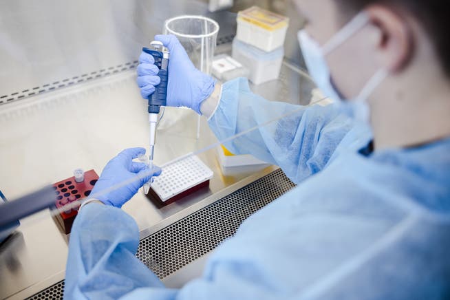 Täglich werden noch rund 11'000 PCR- oder Antigentests gemacht.