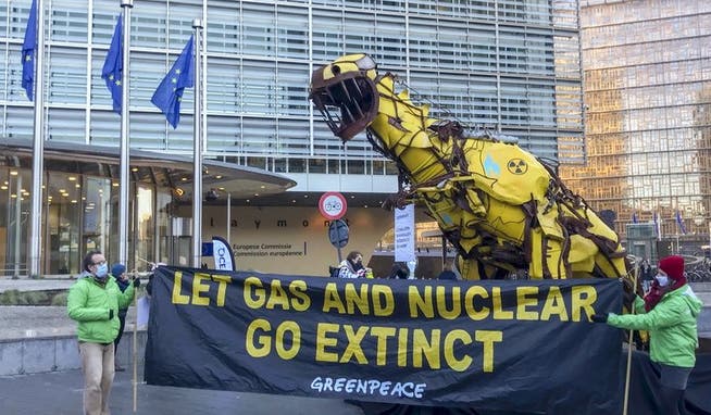 Greenpeace-Protest vor dem Hauptgebäude der EU-Kommission in Brüssel (Archiv)