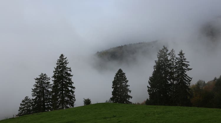 Treuer Herbstbegleiter und deswegen immer wieder im Gespräch: der Nebel. (OLT)