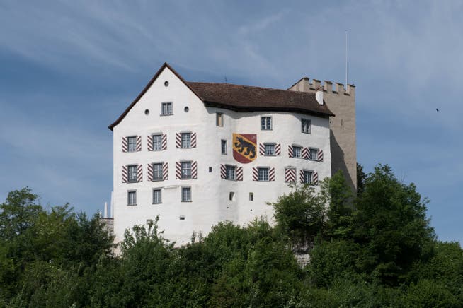 Auch das Schloss Wildenstein werden die Läuferinnen und Läufer auf der Route sehen.