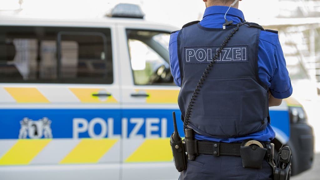 Basel: 14 people charged after mass brawl at Turkish children's ...