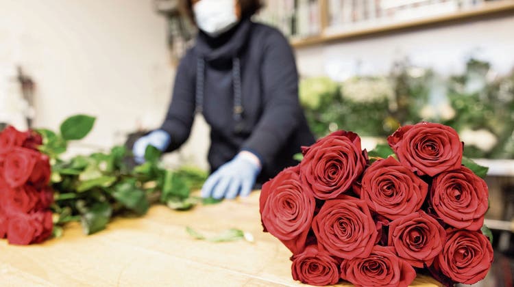 Rote Rosen sind nach wie vor die beliebtesten Blumen zum Valentinstag. (Bild: Severin Bigler)