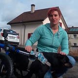 Rollstühle für Hunde: Diese Aargauerin macht behinderte Vierbeiner wieder mobil