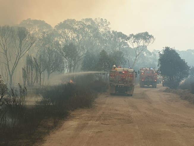 Clean-up continues after wildfires in Australia Whale fires in Australia: Firefighters were often overwhelmed by the heat and speed of the flames.