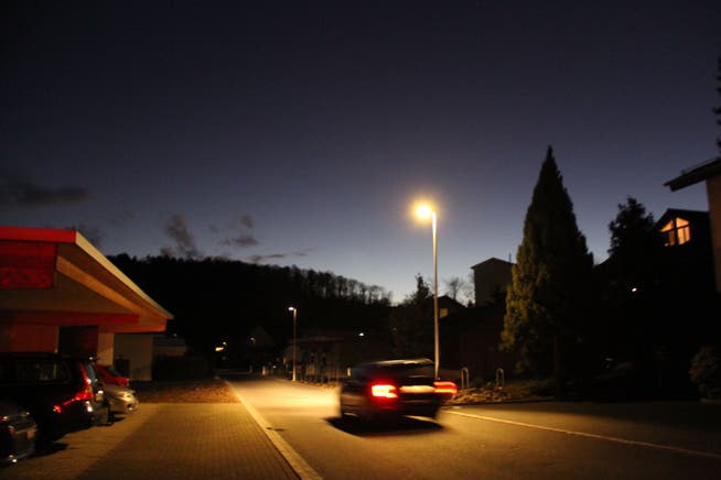 Strassenlampen machen den nächtlichen Verkehr sicherer, sind aber Stress für Fledermäuse und andere nachtaktive Tiere.