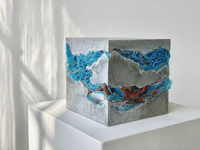 Die Künstlerin Babs Ernst aus Dietikon thematisiert mit einem Betonklotz, der mit Plastik gefüllt ist, die Verschmutzung der Meere.