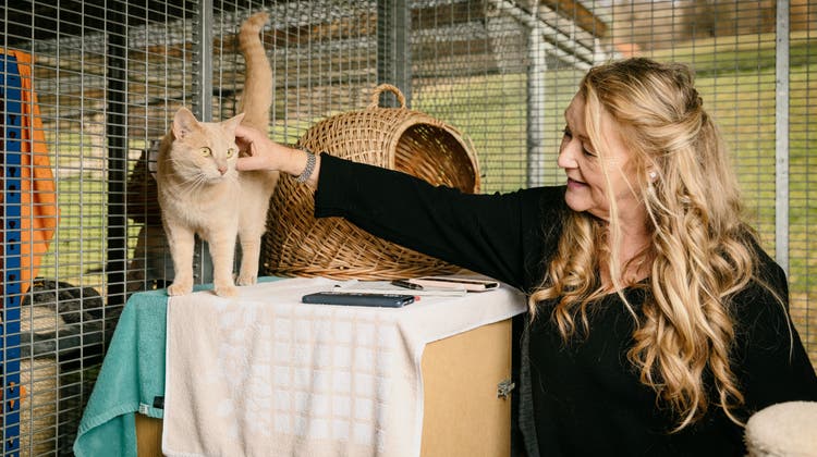 Sie leistet einmal wöchentlich Freiwilligenarbeit im Tierheim: Katzenstreichlerin Cora Slaviero mit Büsi Elisa. (Ursula Burgherr)