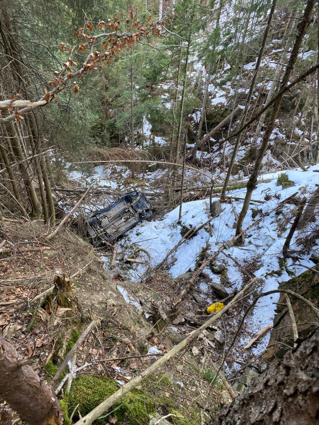 Der 85-jährige Autofahrer stürzte mit dem Auto rund 100 Meter über ein steil abfallendes Waldgebiet.
