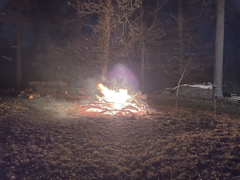 Arni, 14. März: In einem Waldstück in Arni ist ein Holzhaufen in Brand geraten. Möglicherweise wurde das Feuer ausgelöst durch Glutnester einer nahen Feuerstelle.